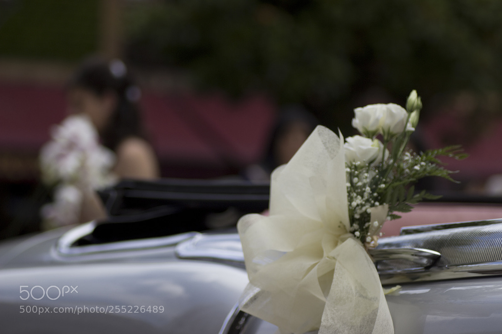 Canon EOS 600D (Rebel EOS T3i / EOS Kiss X5) sample photo. Img photography