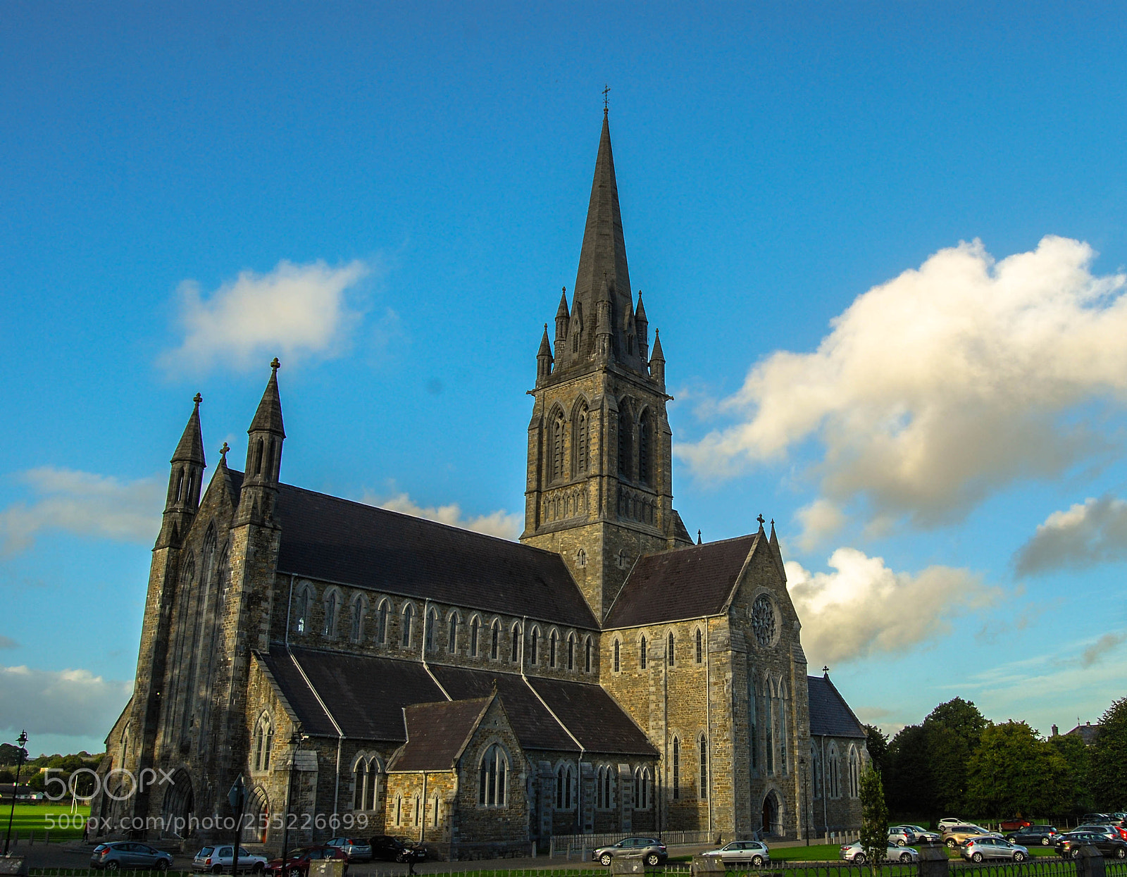 Nikon D80 sample photo. Saint mary's cathedral photography