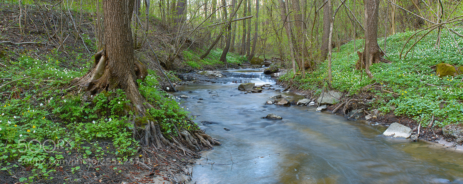 Nikon D7100 sample photo. Spring river photography