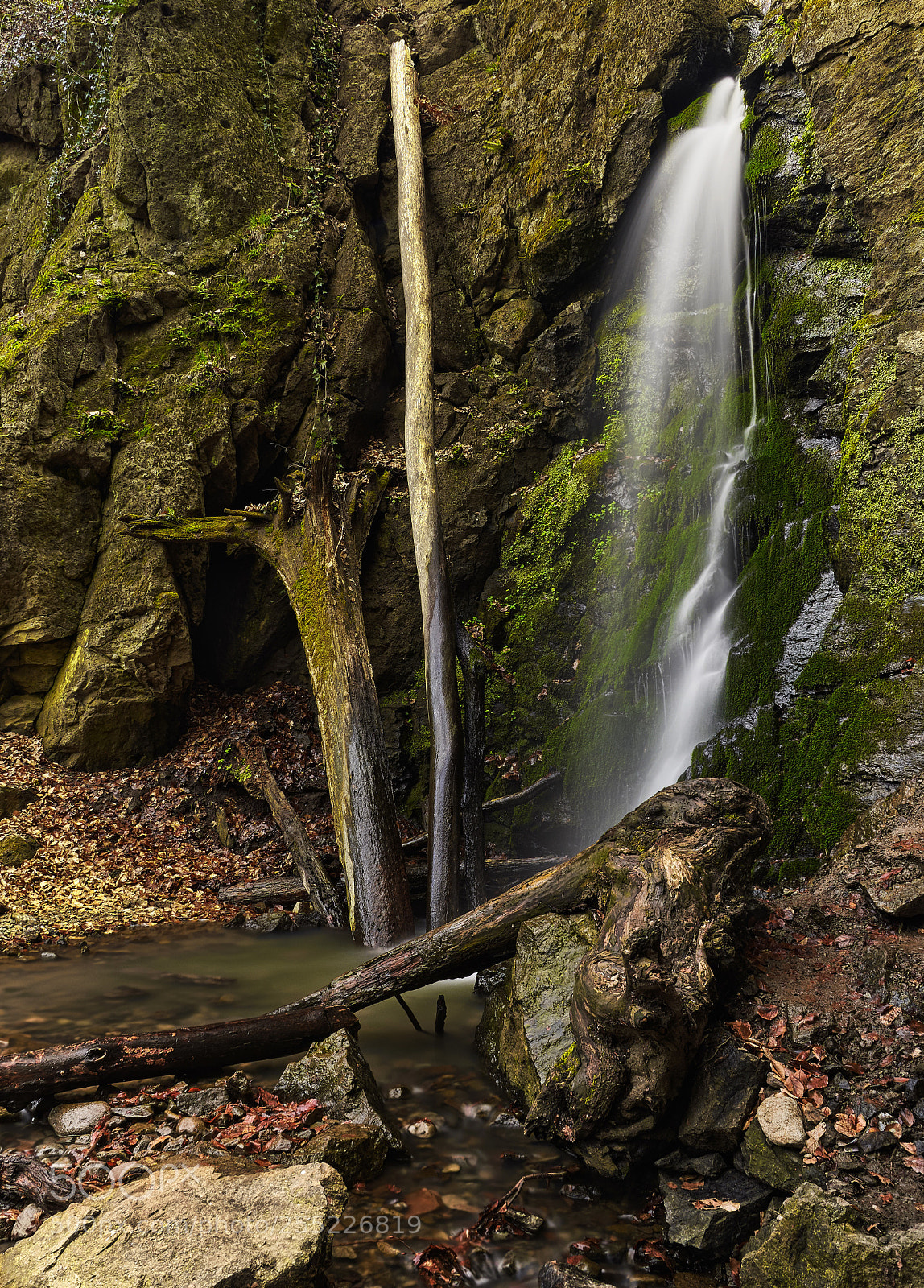 Nikon D7200 sample photo. Colorful nature photography