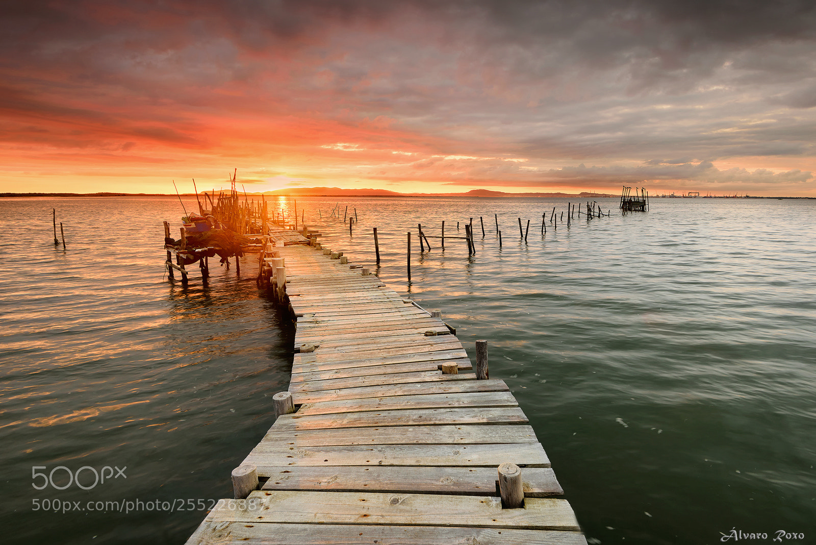 Nikon D810 sample photo. Carrasqueira photography