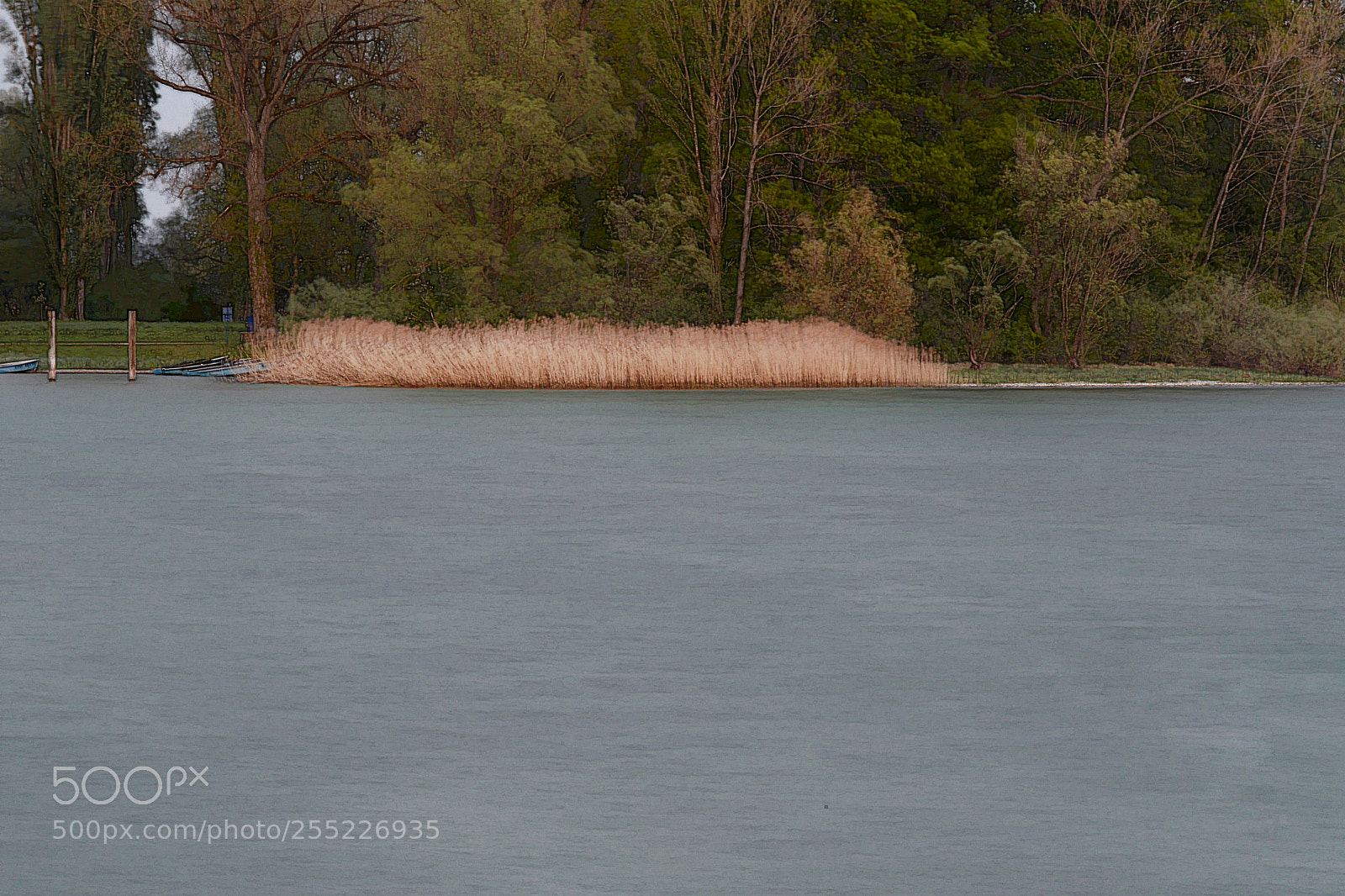 Nikon D7100 sample photo. Windiger tag photography