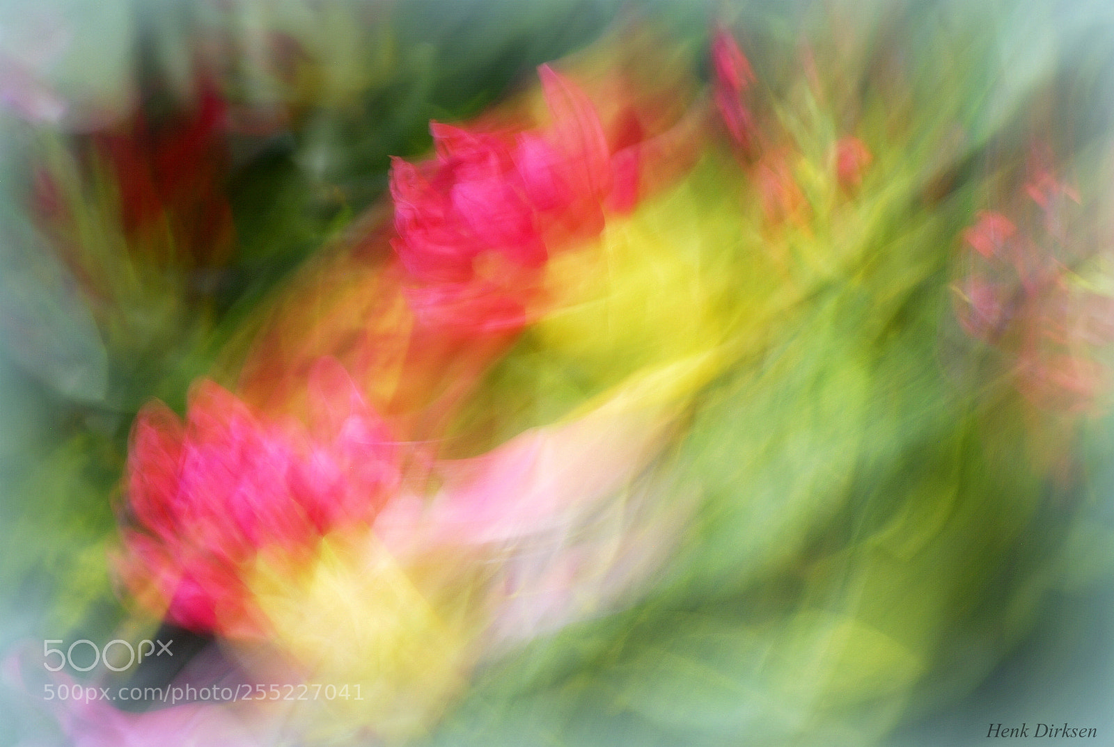 Nikon D200 sample photo. Colors of springtime photography