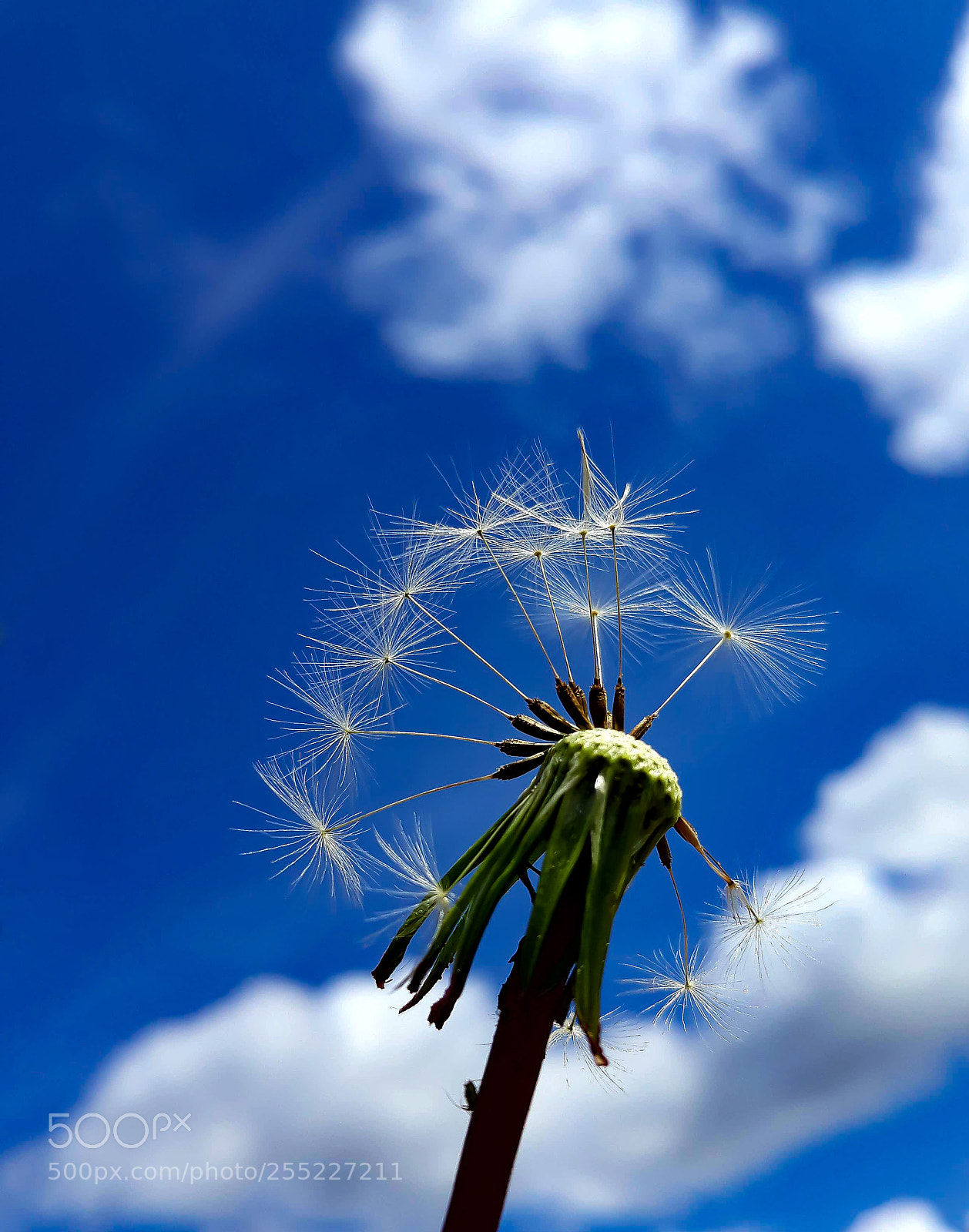 Samsung Galaxy J7 sample photo. Azul photography