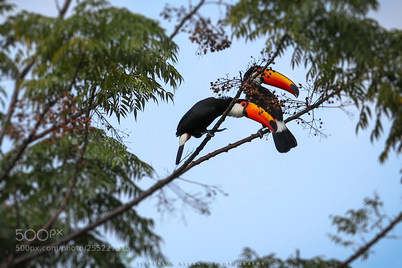 Canon EOS-1D X Mark II sample photo. Encontro photography