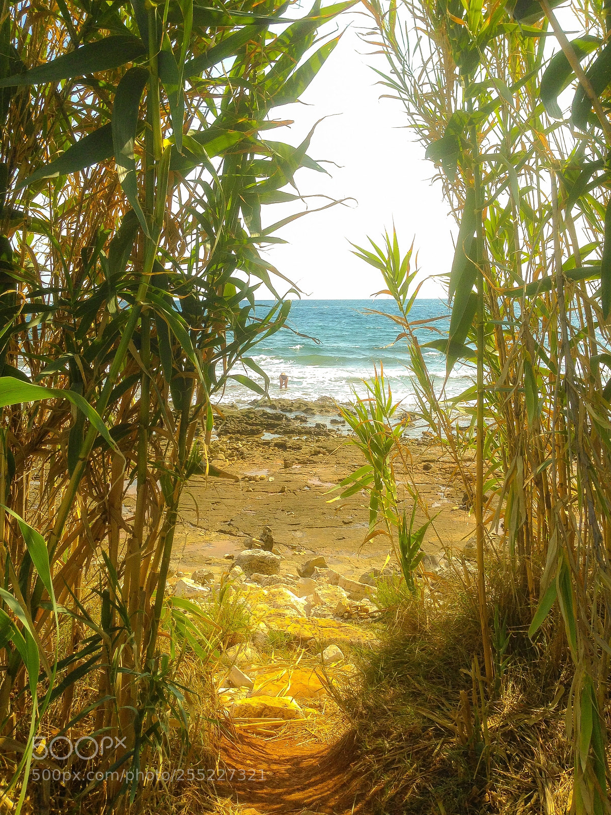 Apple iPhone 5 sample photo. Glimpse of the beach photography