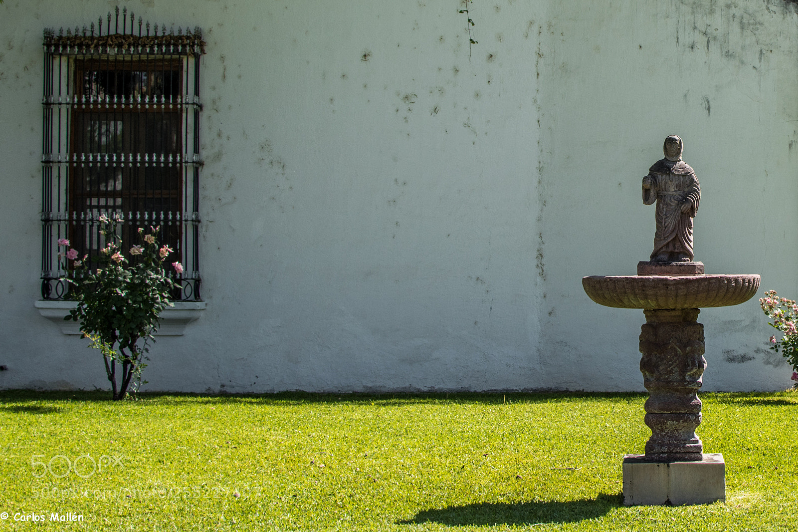 Nikon D5500 sample photo. Jardin en la casa photography