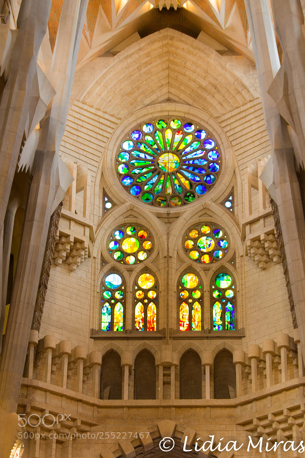 Canon EOS 700D (EOS Rebel T5i / EOS Kiss X7i) sample photo. Rose window photography