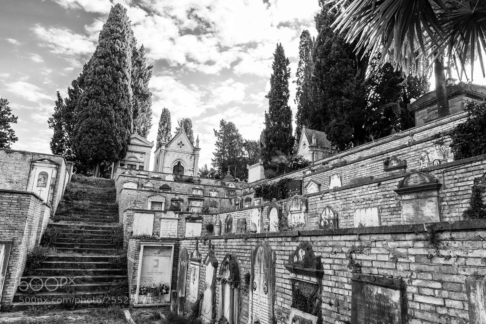 Nikon D5300 sample photo. Busy old walls photography