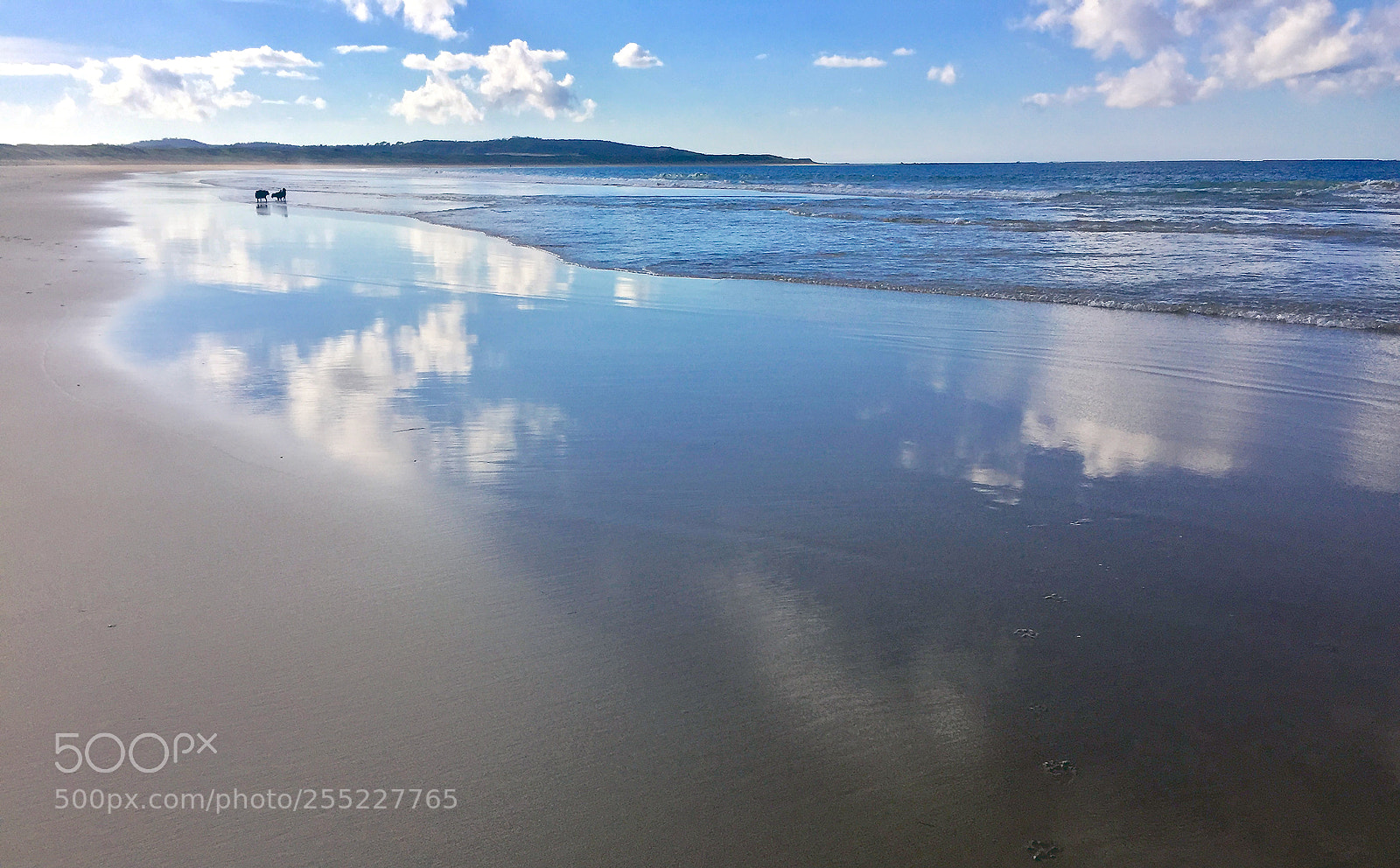 Apple iPhone 6 Plus sample photo. Beach tranquility photography
