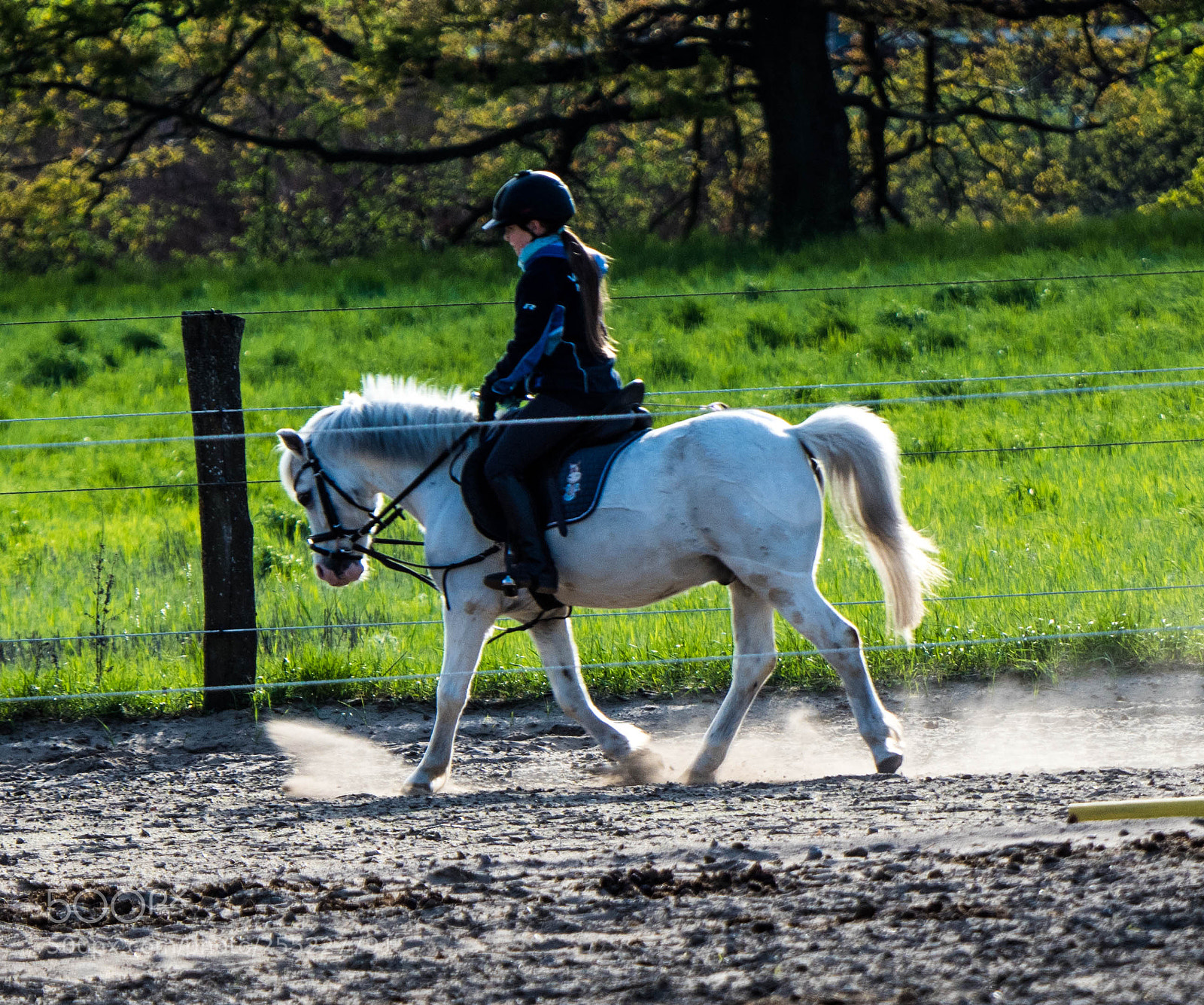 Olympus OM-D E-M5 II sample photo. Olympus digital camera photography