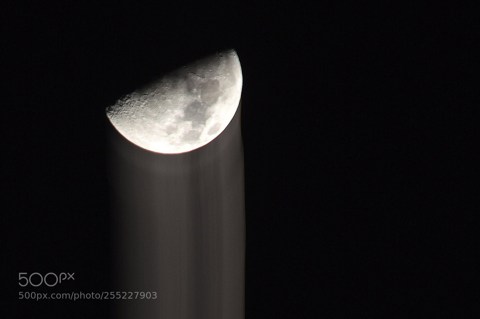 Nikon D7200 sample photo. Untitled photography