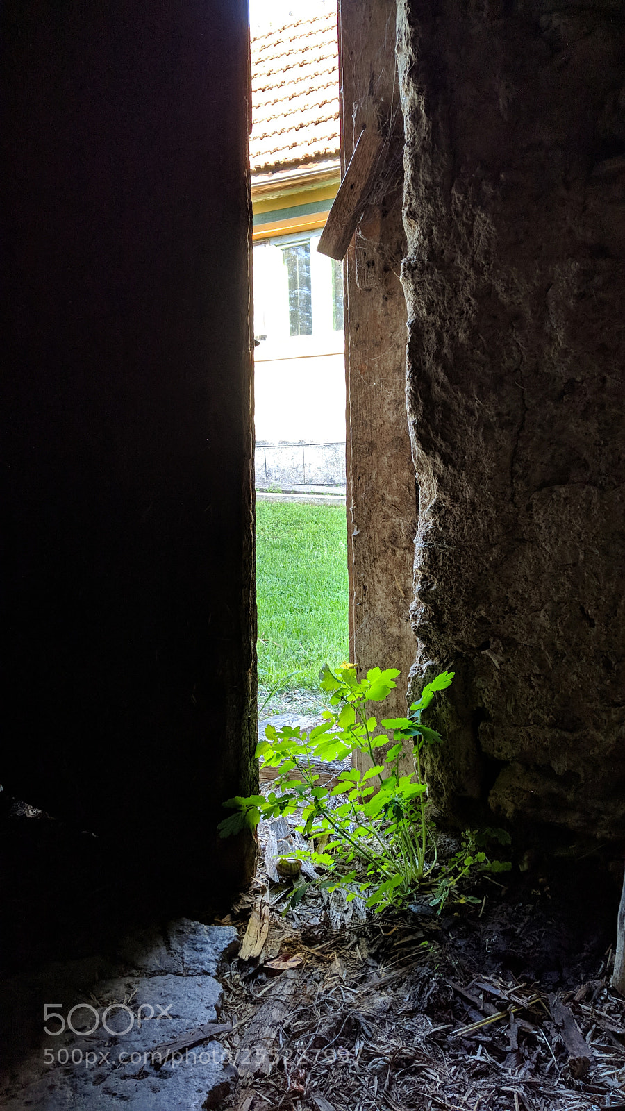 Xiaomi Mi A1 sample photo. Looking outside. photography