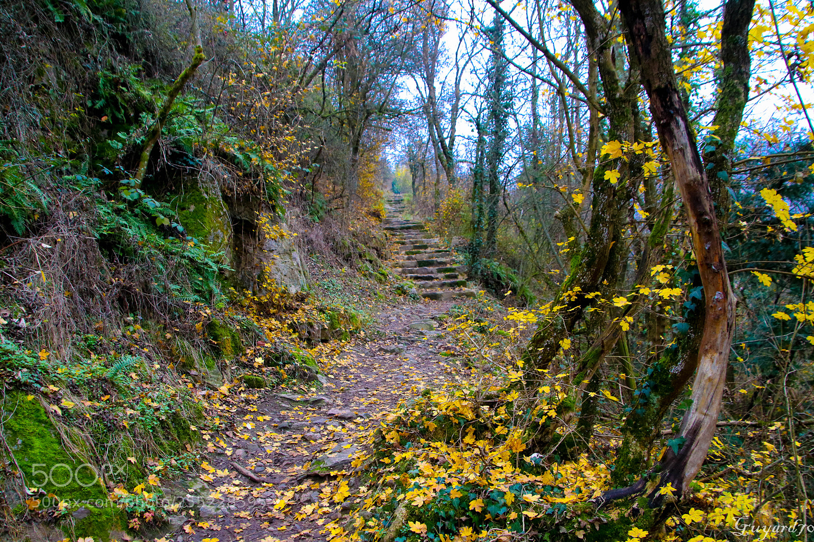 Canon EOS 80D sample photo. Kaysersberg   alsace photography