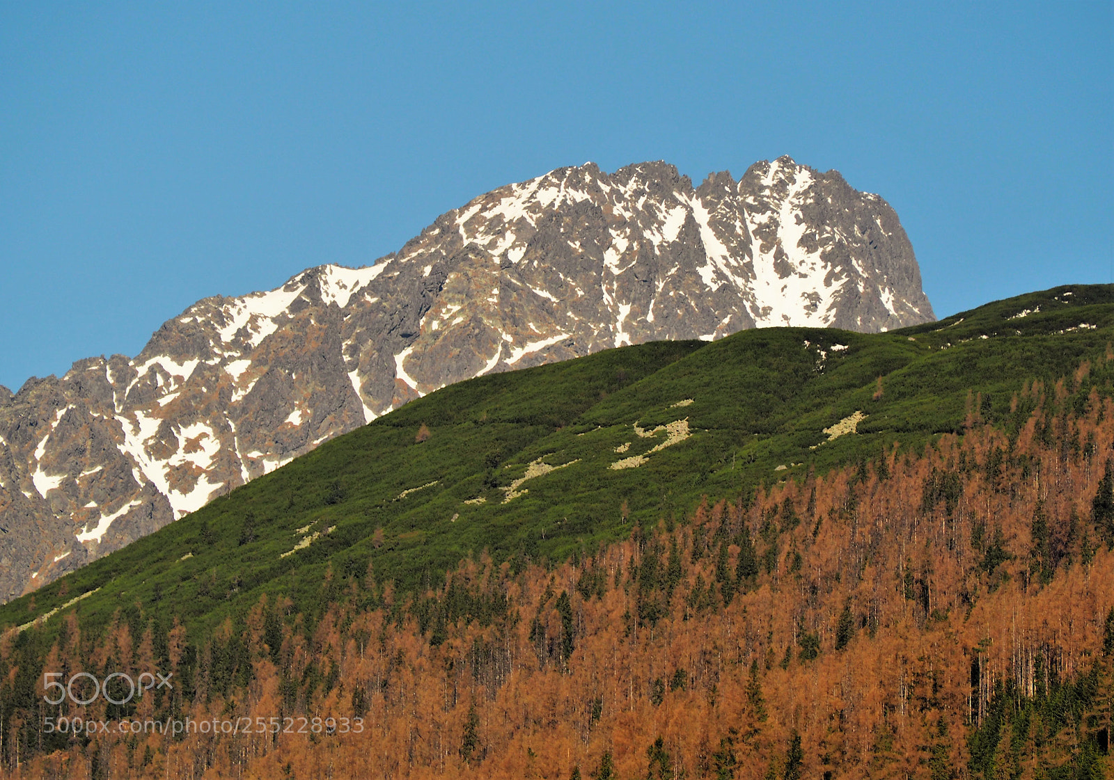 Olympus OM-D E-M10 sample photo. High tatras photography