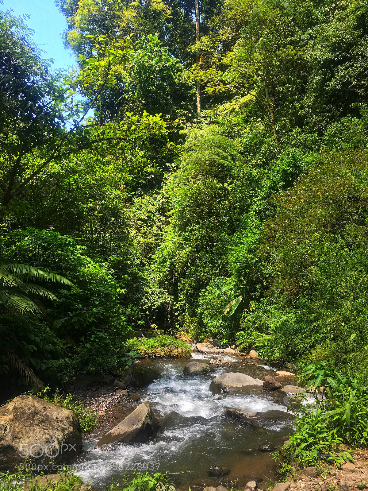 Apple iPhone 6s sample photo. The stream photography