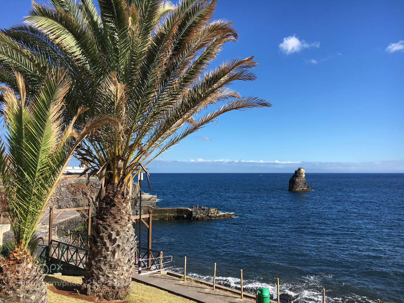 Apple iPhone 6s sample photo. Madeira sunny day photography