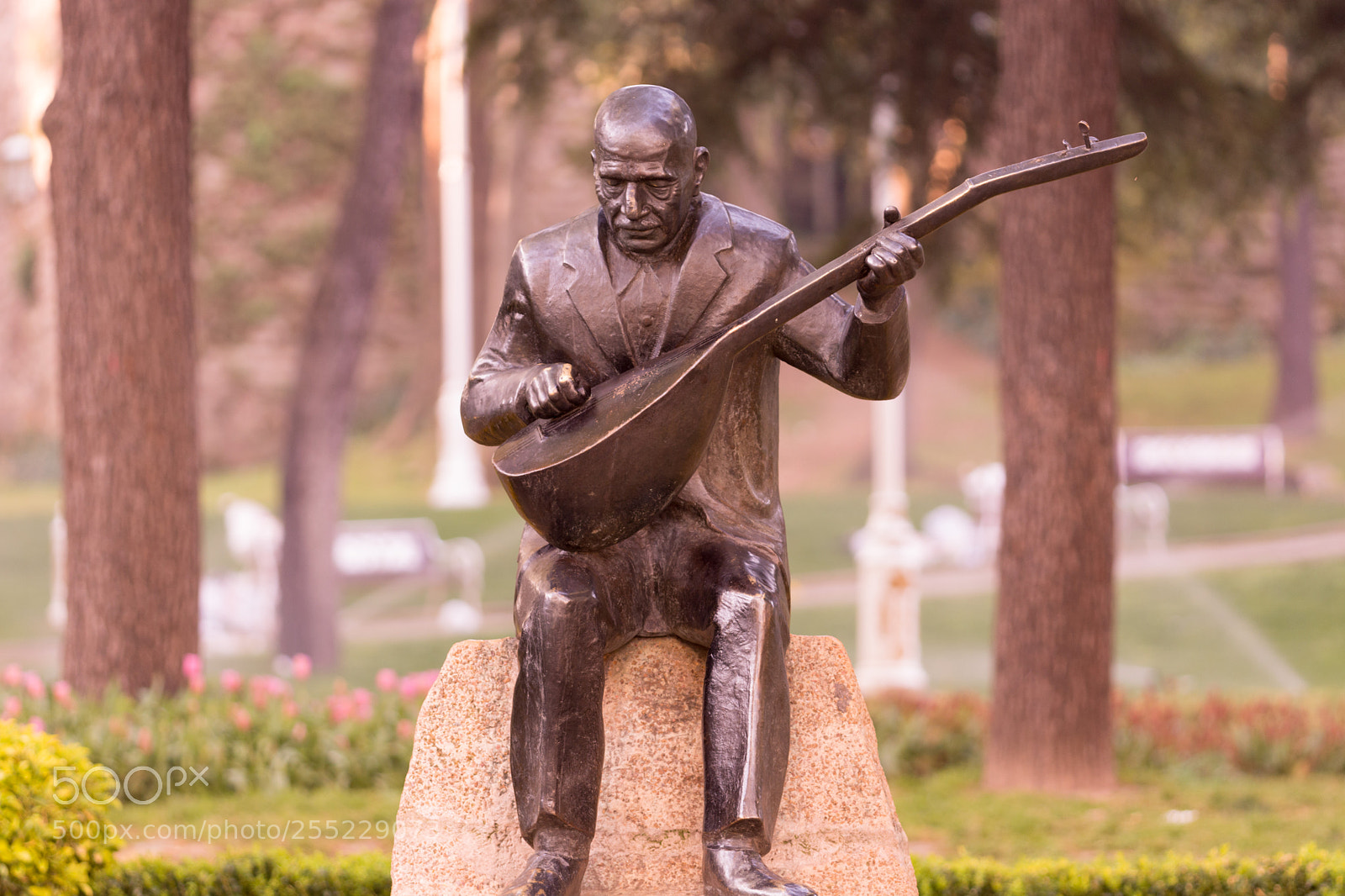 Nikon D7100 sample photo. Aşık veysel  (1894-1973) photography