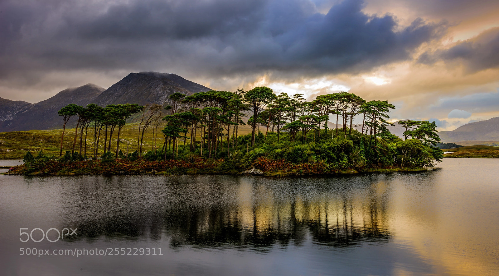 Nikon D810 sample photo. Connemara national park photography