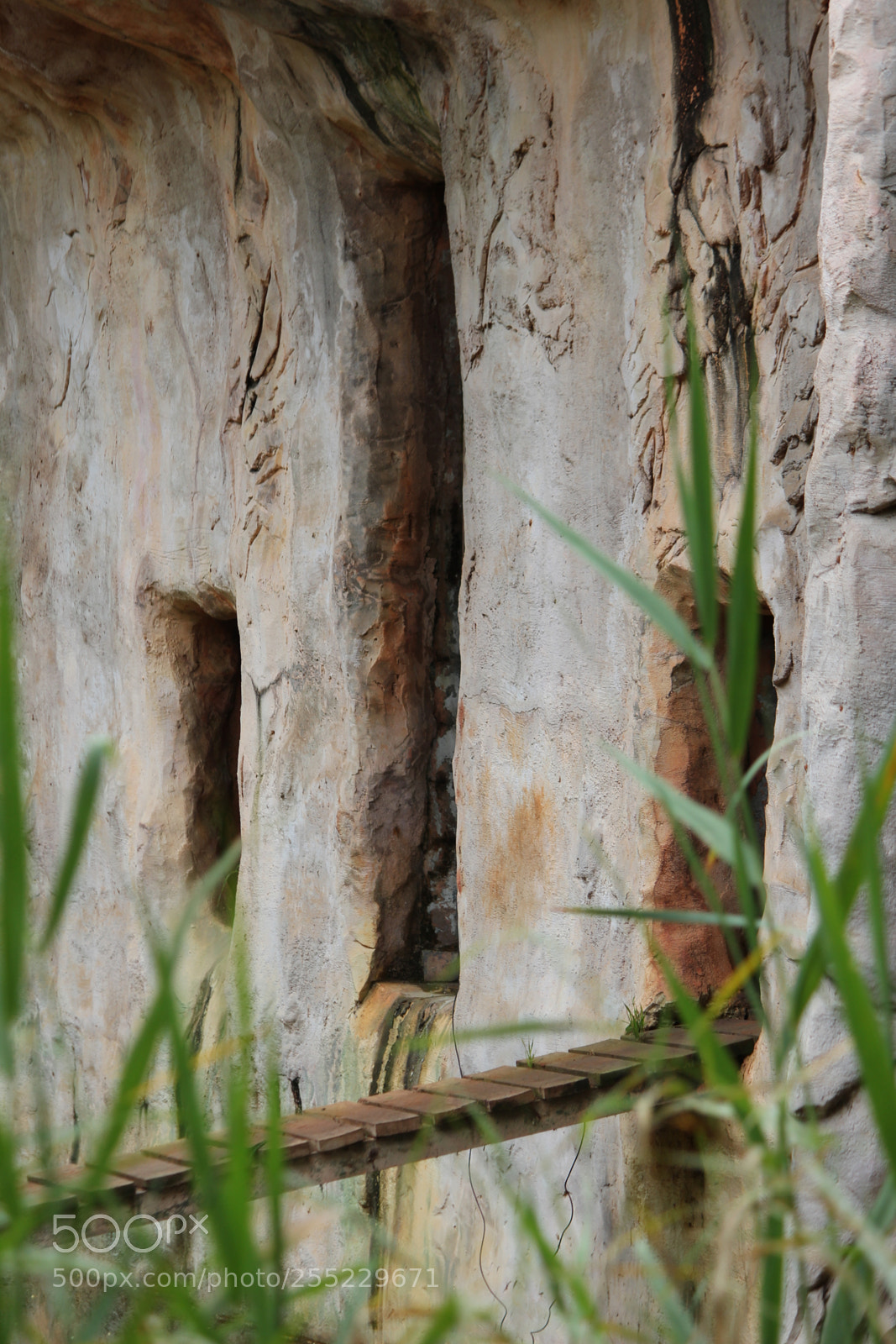 Canon EF-S 55-250mm F4-5.6 IS II sample photo. Untitled photography