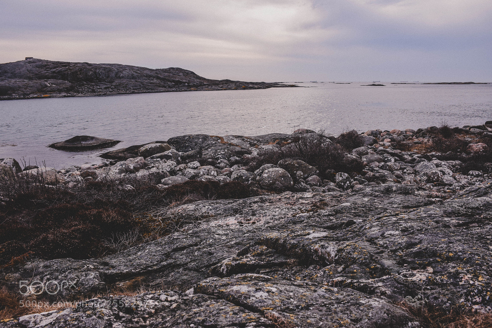 Nikon D5300 sample photo. Evening photography