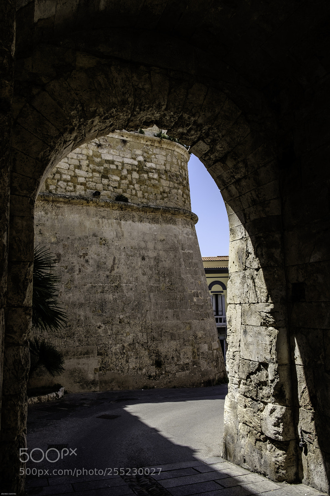 Fujifilm X-T1 sample photo. #liondoor# photography