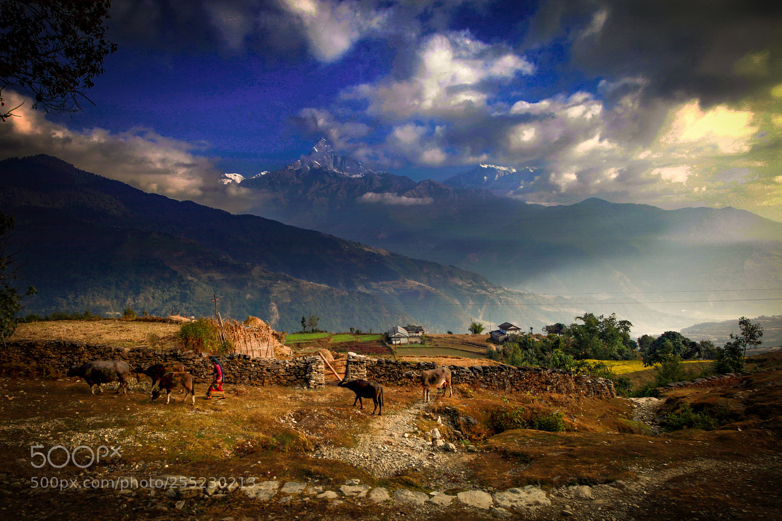 Canon EOS 5D Mark II sample photo. Annapurna, nepal photography