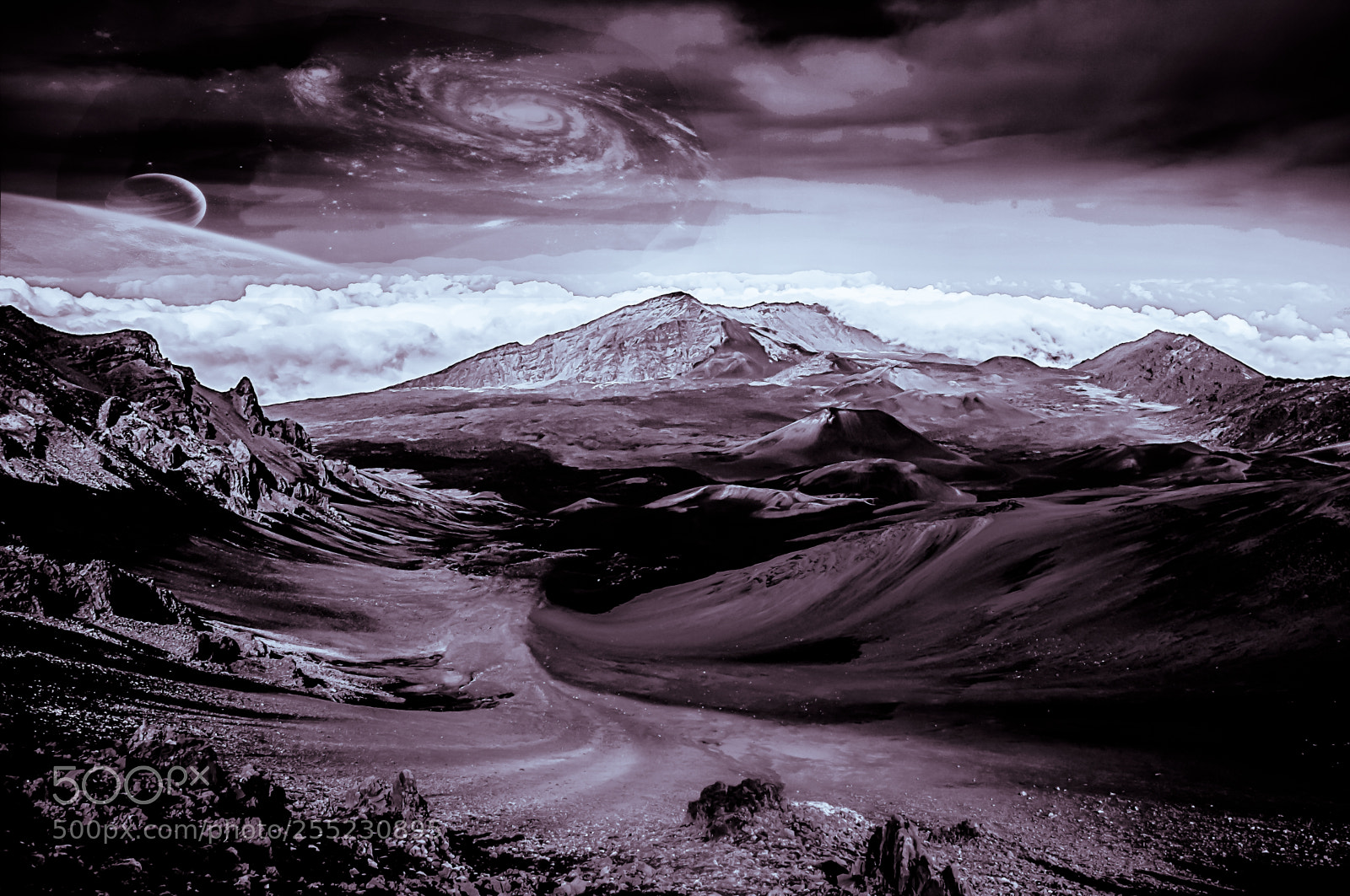 Nikon D300 sample photo. Another world photography
