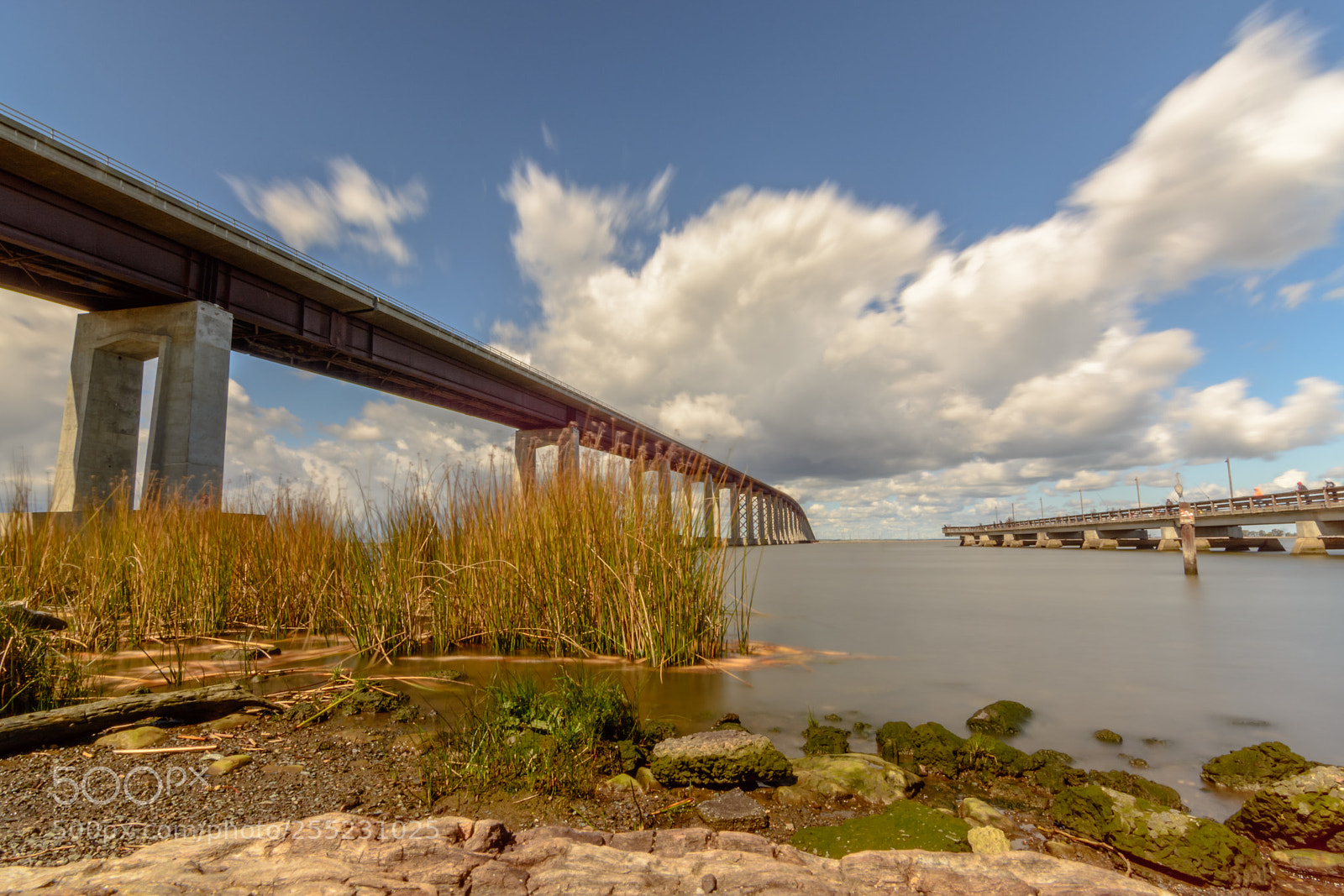 Nikon D5200 sample photo. Antioch bridge photography