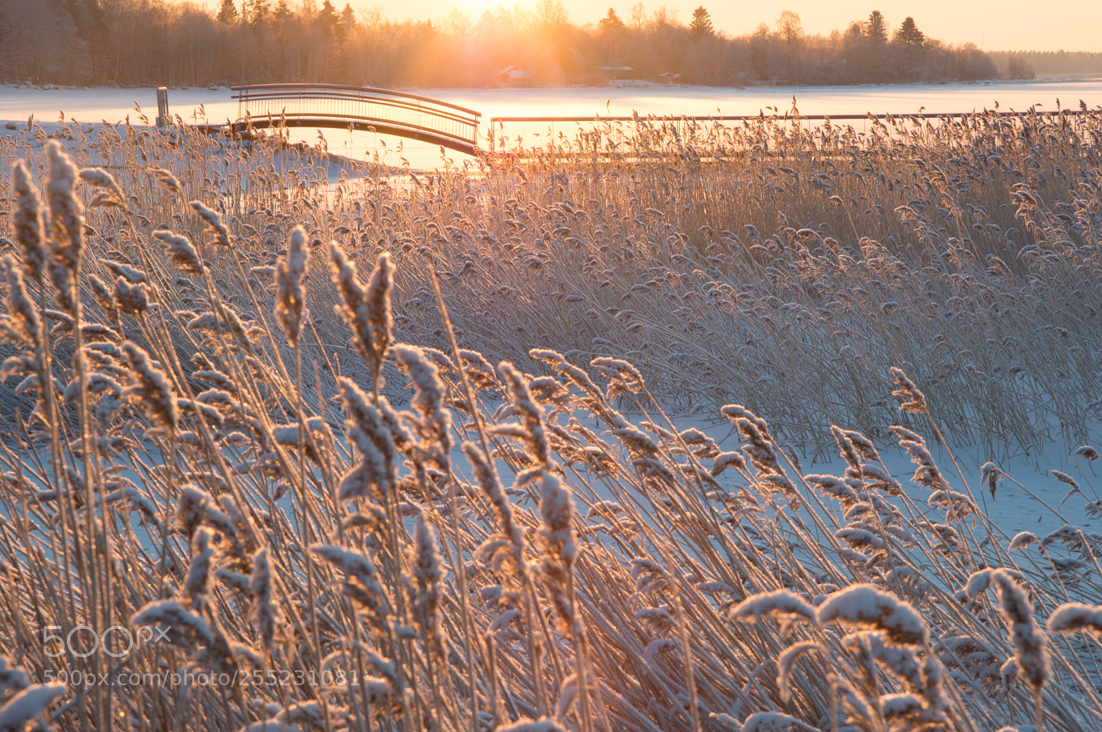Nikon D3200 sample photo. Morning photography