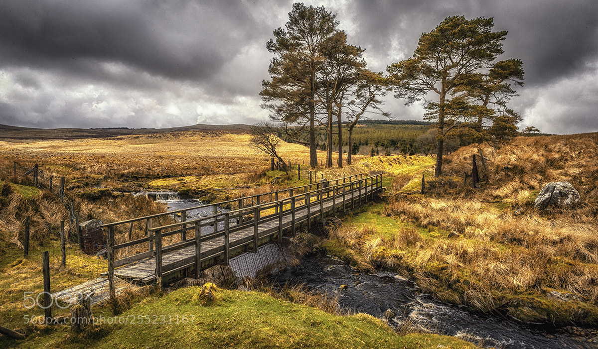 Nikon D3S sample photo. Nant ddu photography