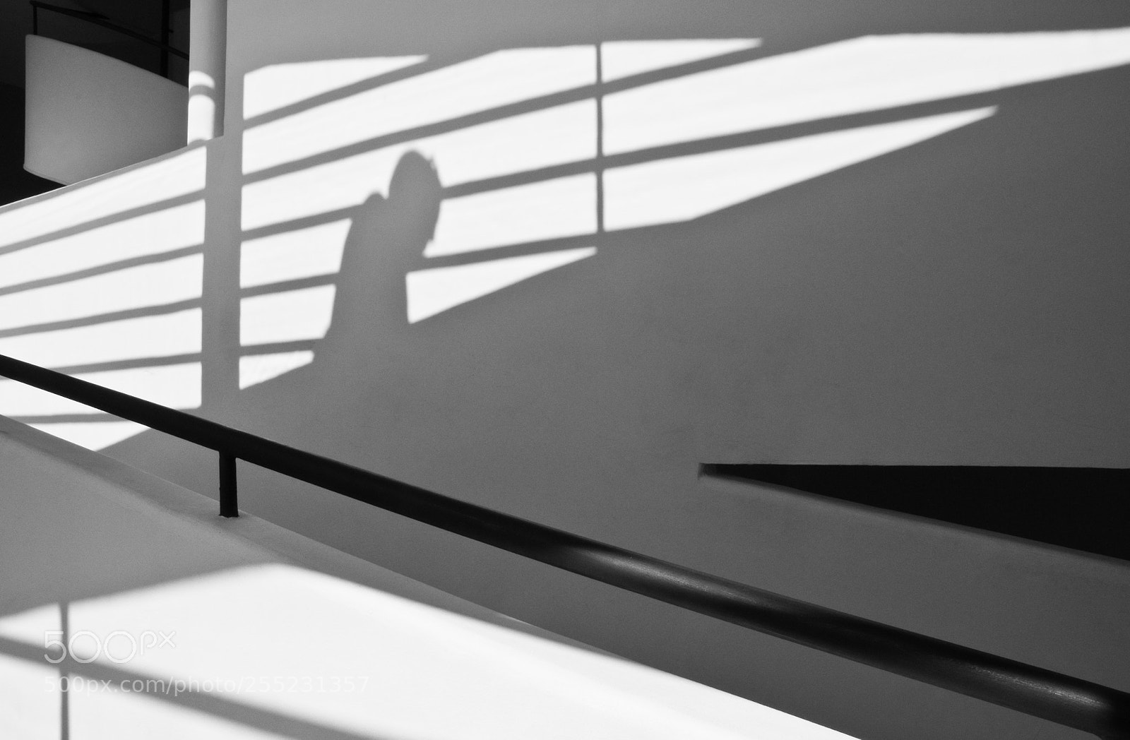 Nikon D300 sample photo. Shadow photography