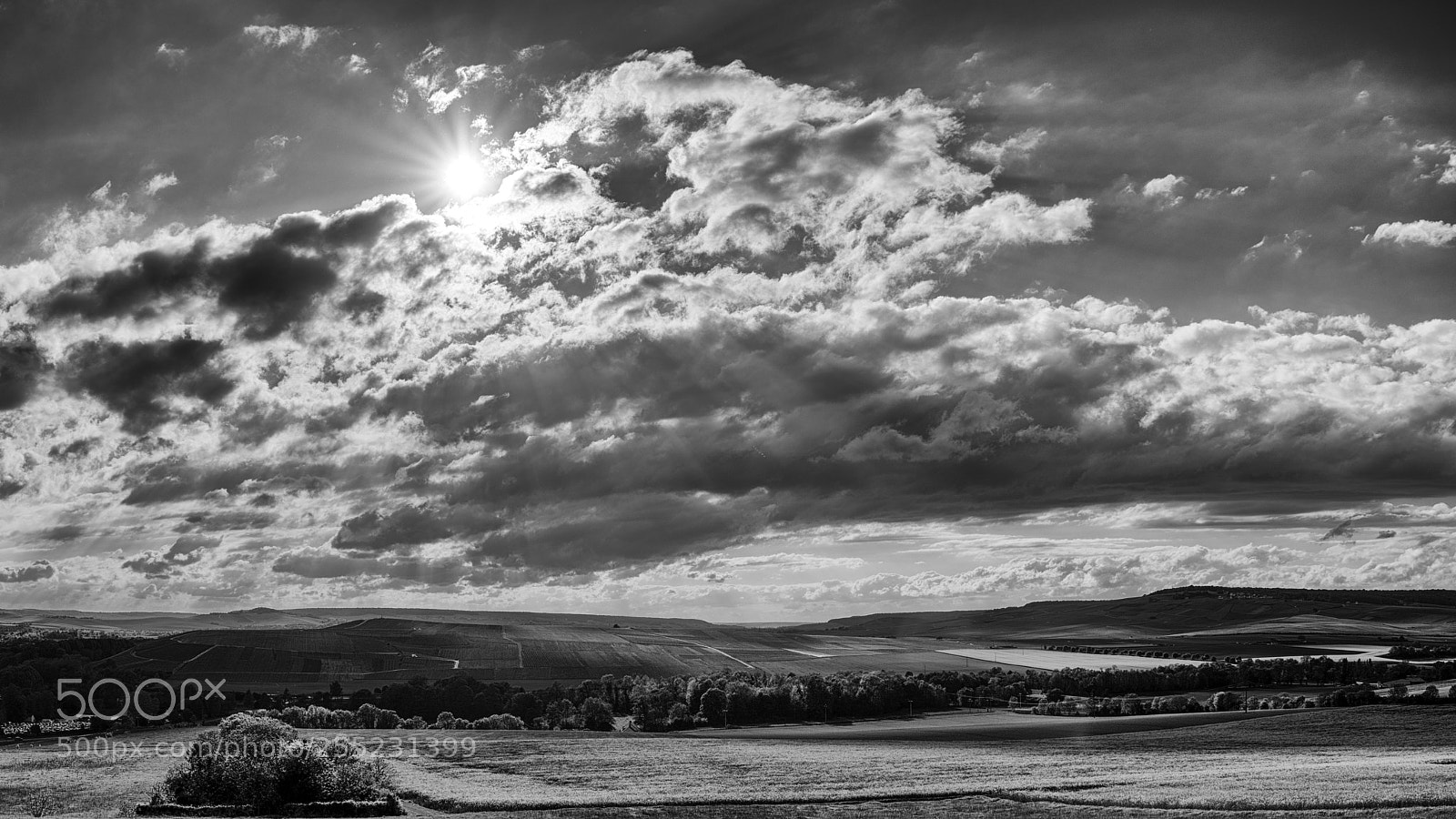 Pentax K-1 sample photo. Sunny day photography