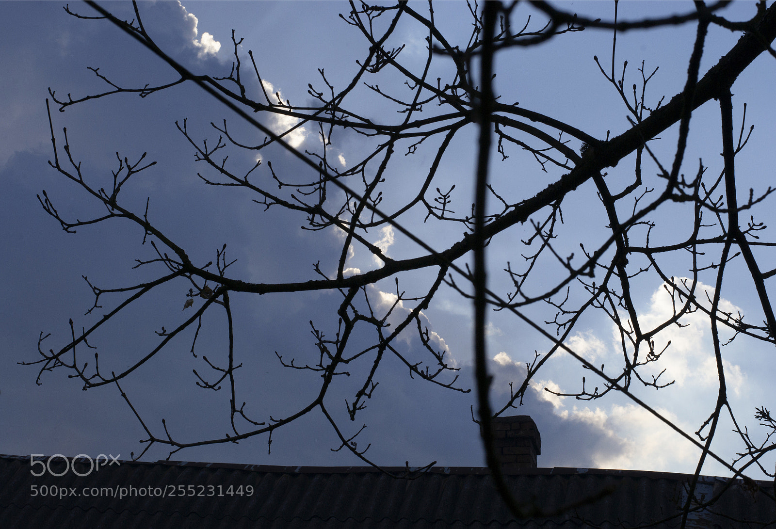 Nikon D3100 sample photo. небо photography
