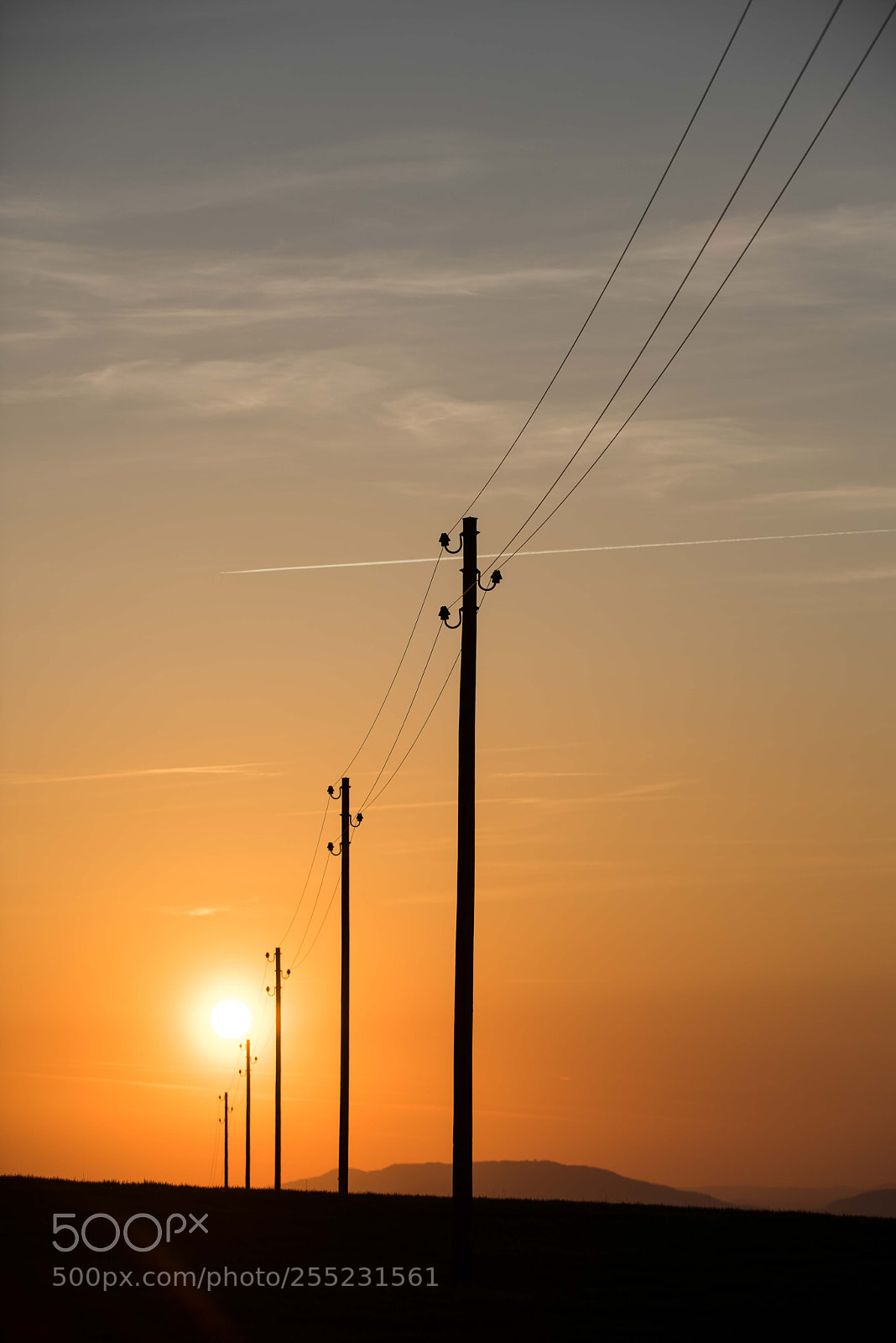 Nikon D810 sample photo. Untitled photography