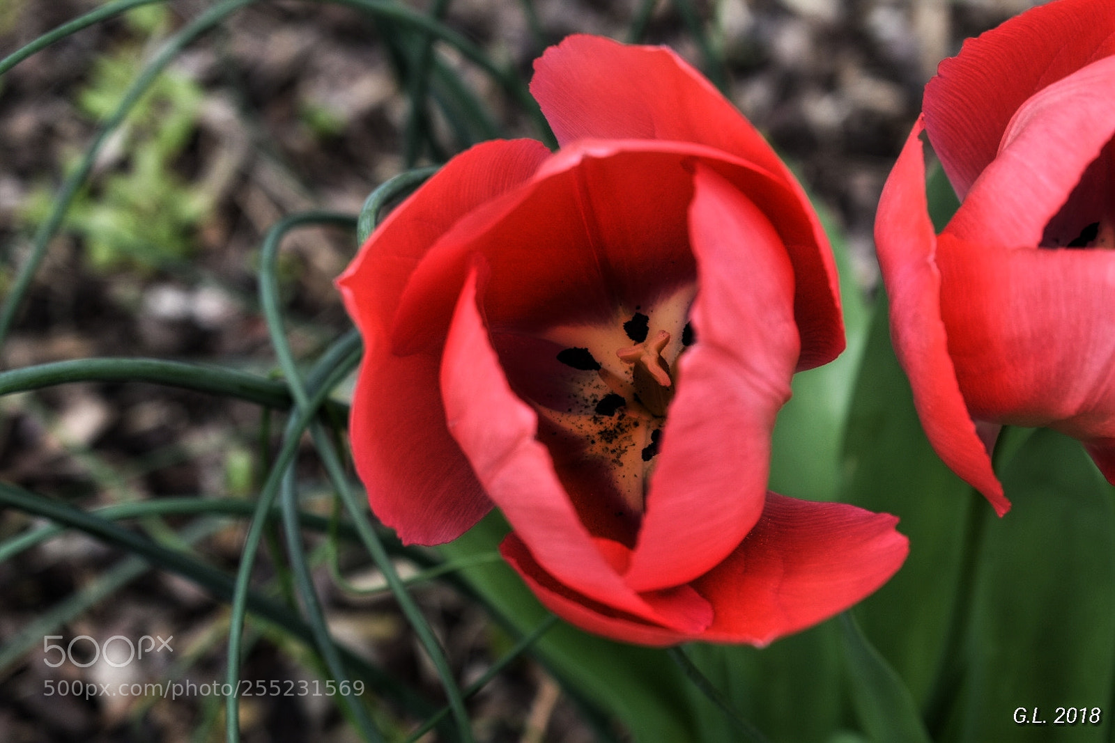 Nikon D3400 sample photo. Untitled photography
