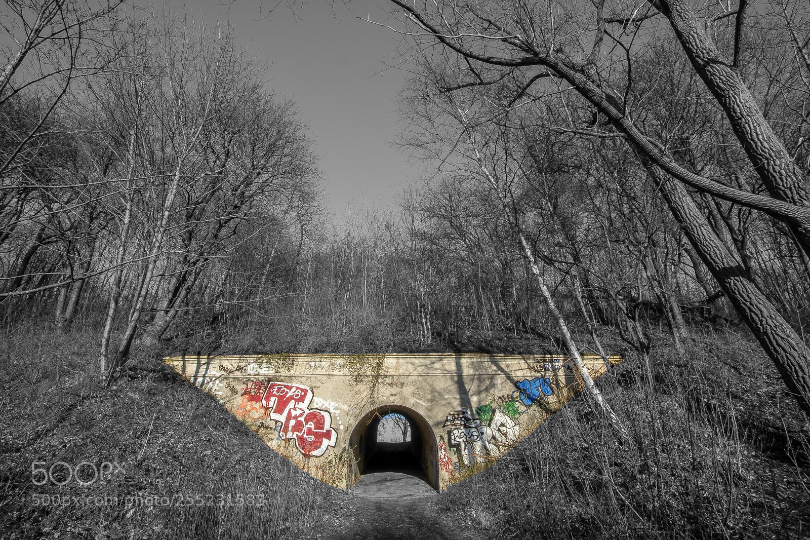 Canon EOS 80D sample photo. Forrest bunker photography