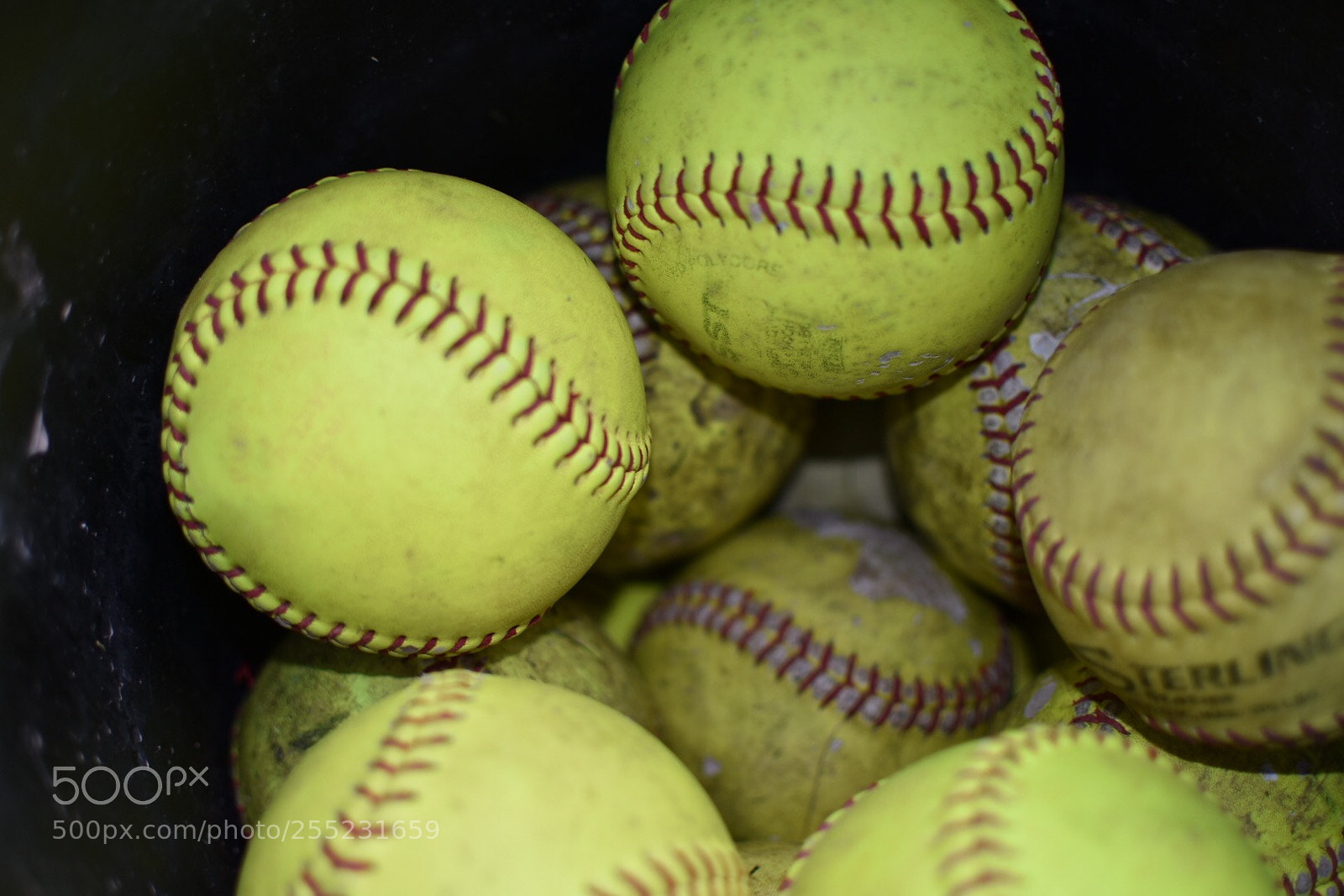 Nikon D3400 sample photo. Ballsy photography