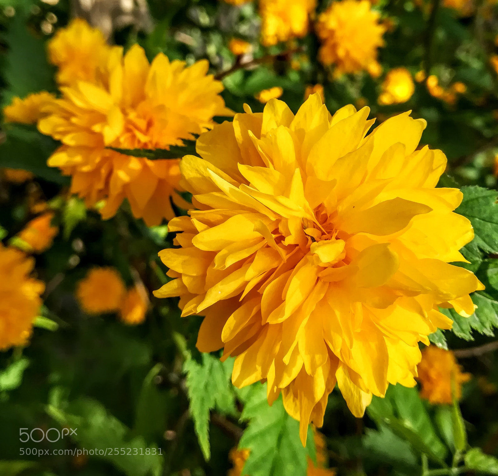 HUAWEI PRA-LX1 sample photo. Untitled photography
