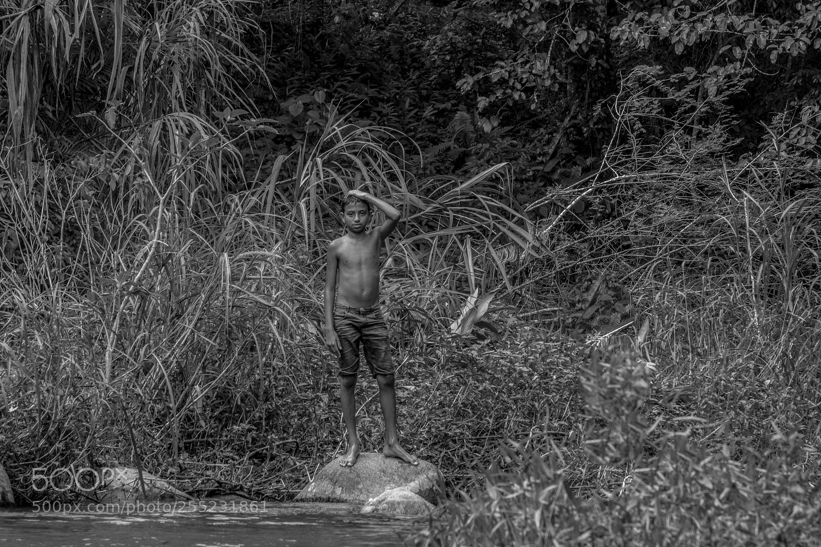 Fujifilm X-T2 sample photo. Selvagem photography