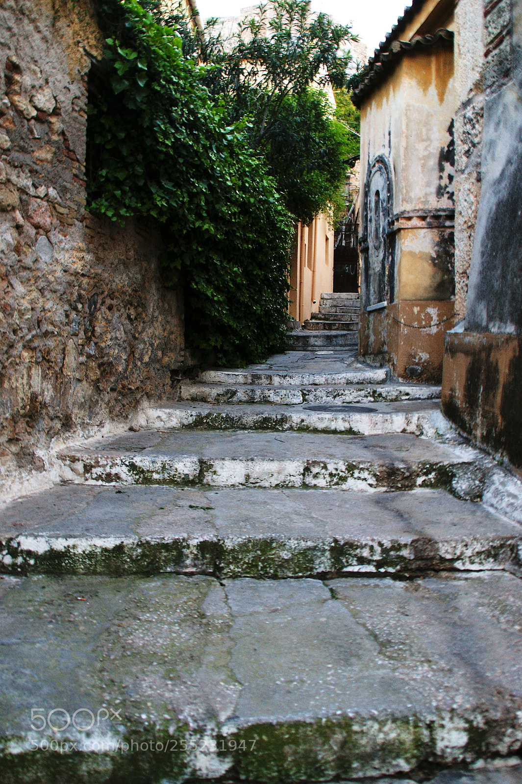 Sony Alpha DSLR-A350 sample photo. Narrow photography