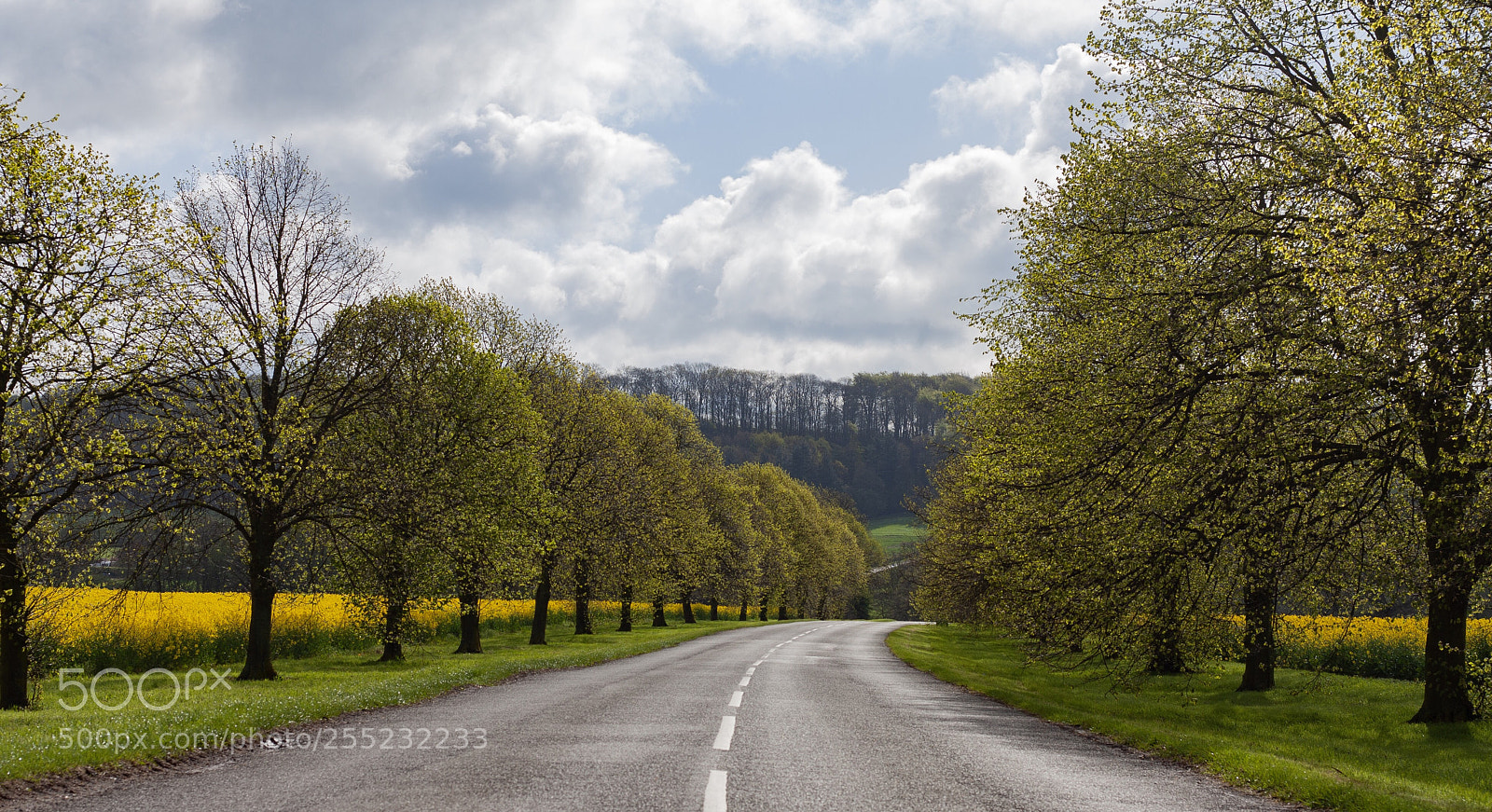 Canon EOS 40D sample photo. Woolsthorpe photography