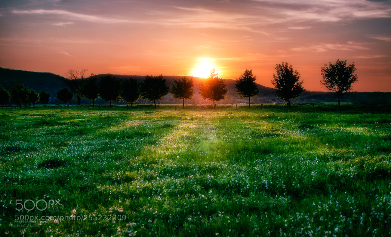 Nikon D5000 sample photo. Sunset over k li photography