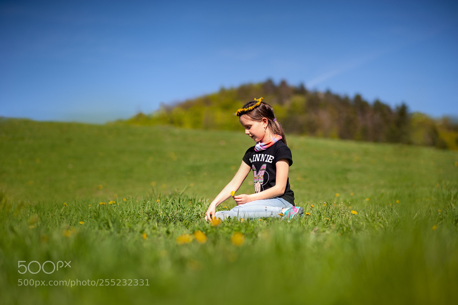 Nikon D700 sample photo. Ema photography