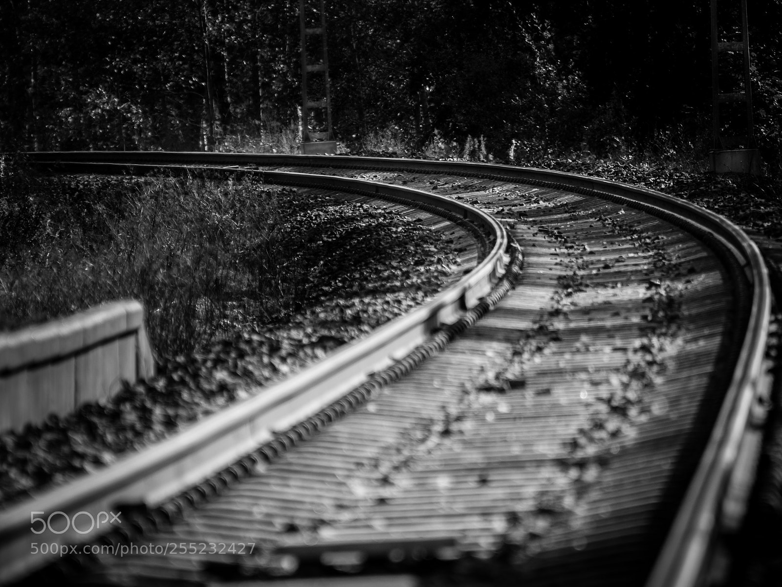 Nikon D3200 sample photo. Railway photography