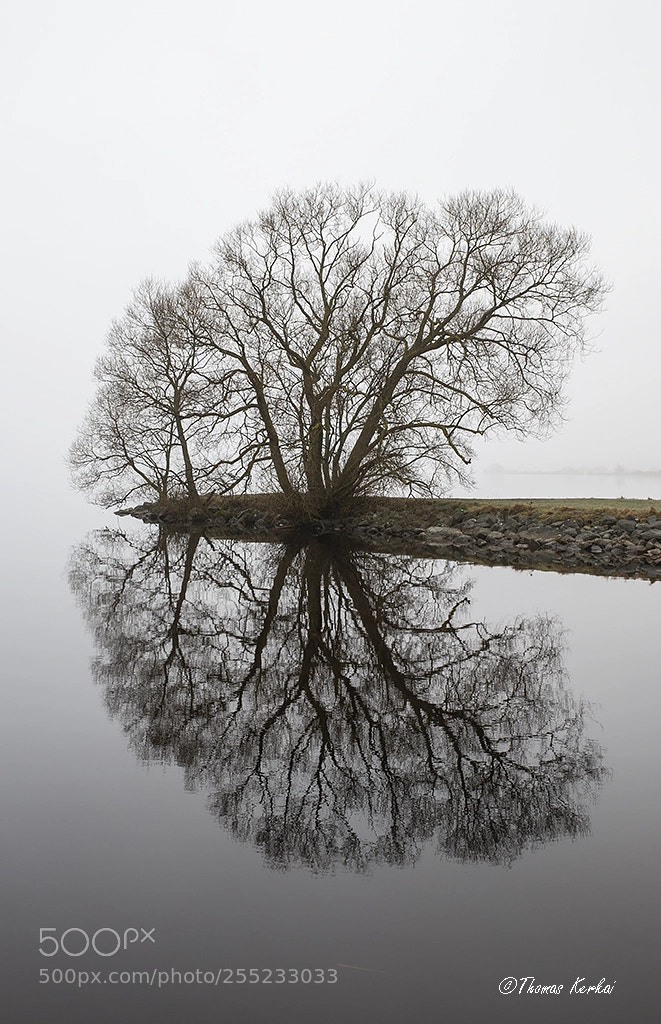 Sony SLT-A99V sample photo. Reflection photography
