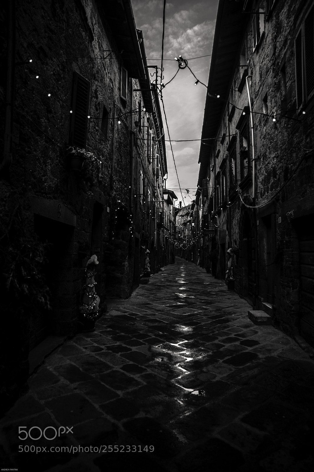 Nikon D3S sample photo. Line of light photography