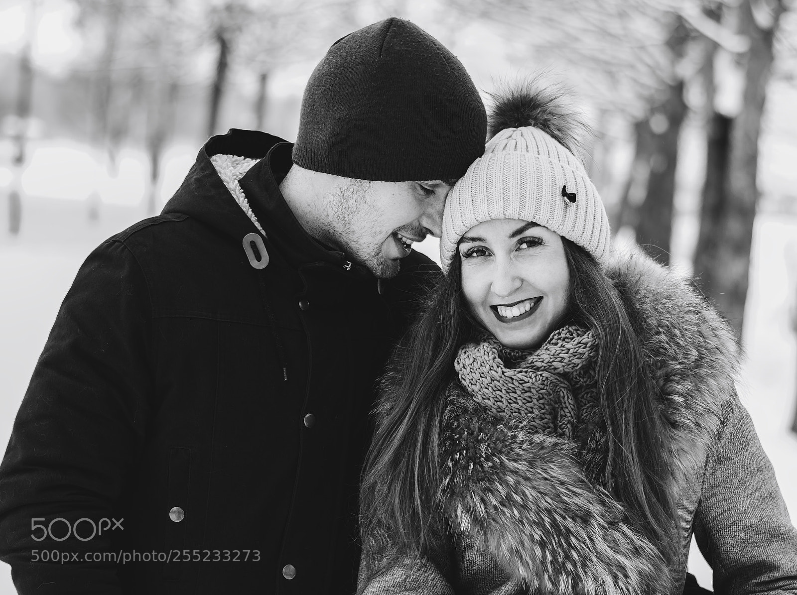 Nikon D3400 sample photo. Winter love photography