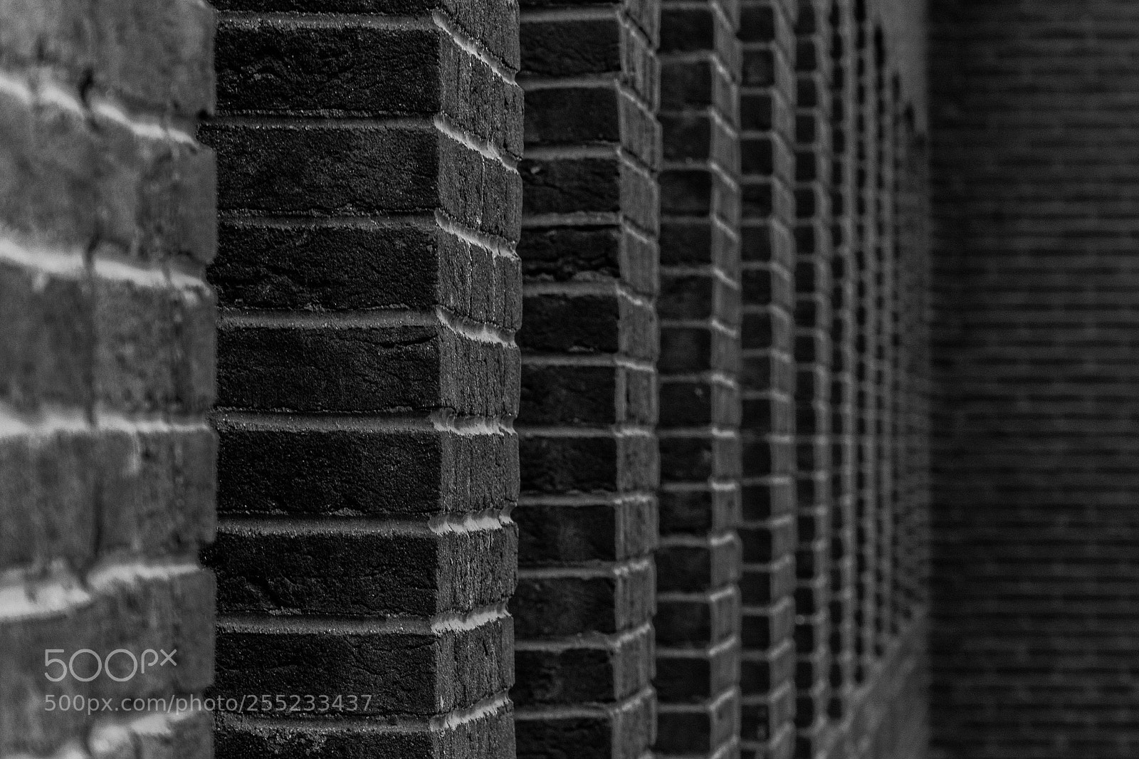 Nikon D5200 sample photo. Black wall photography