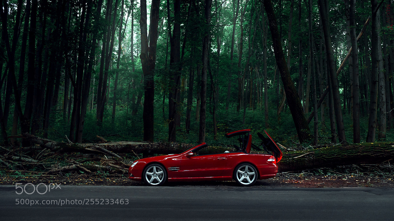 Nikon D600 sample photo. Mercedes-benz sl600 photography